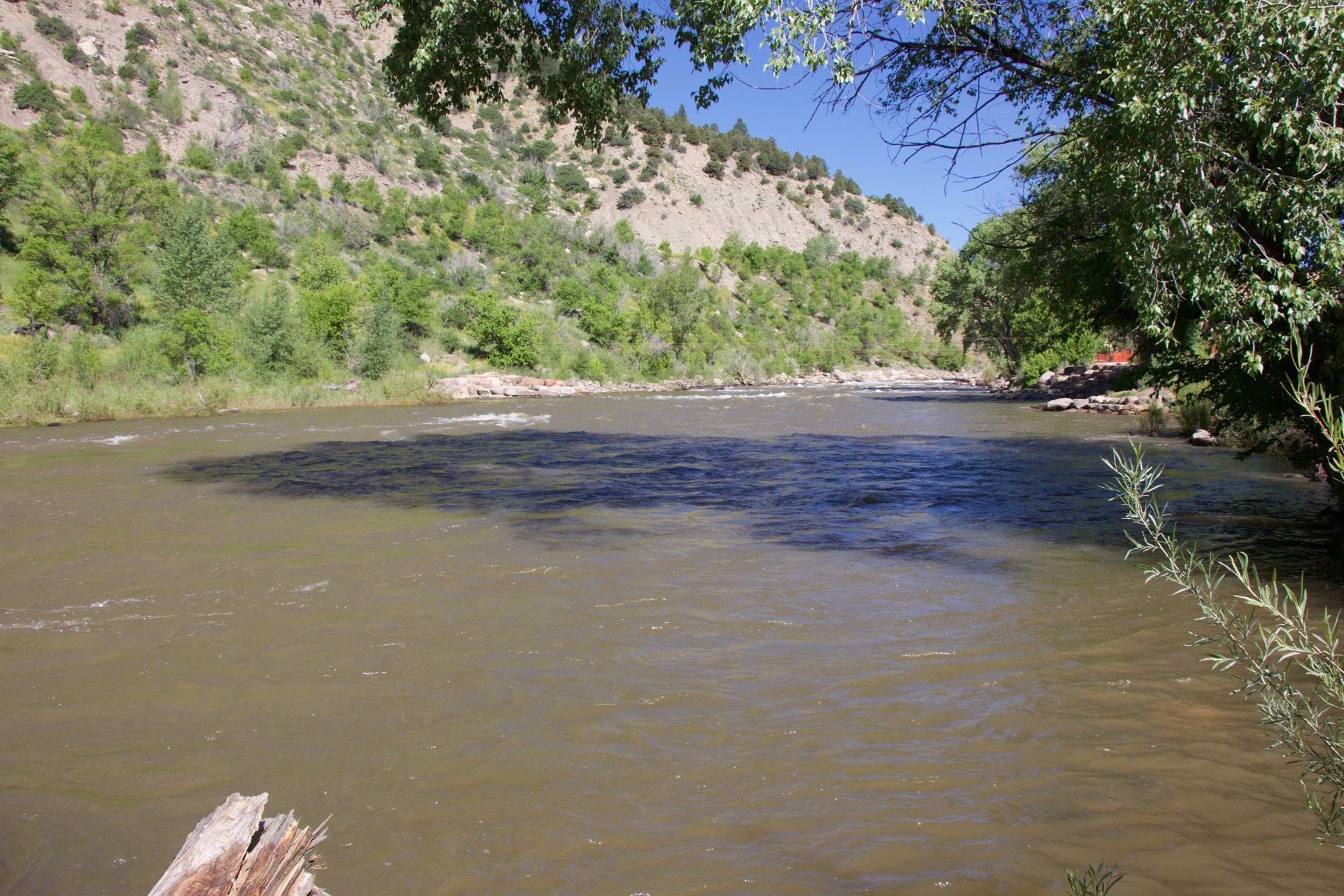 Animas River flowing past a tree-lined bank below sage-covered hills, seen from Santa Rita Park in Durango