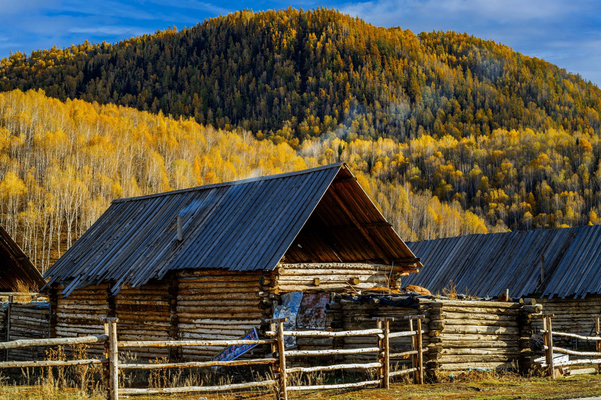 Log cabins with dark pitched roofs and split-rail fencing below a hillside of golden autumn trees