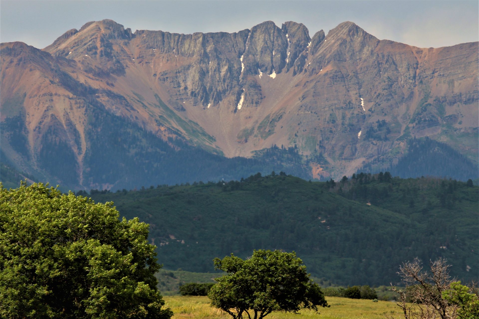 Spiller and Babcock Peaks of the La Plata Mountains rising above a green meadow and scattered oak trees