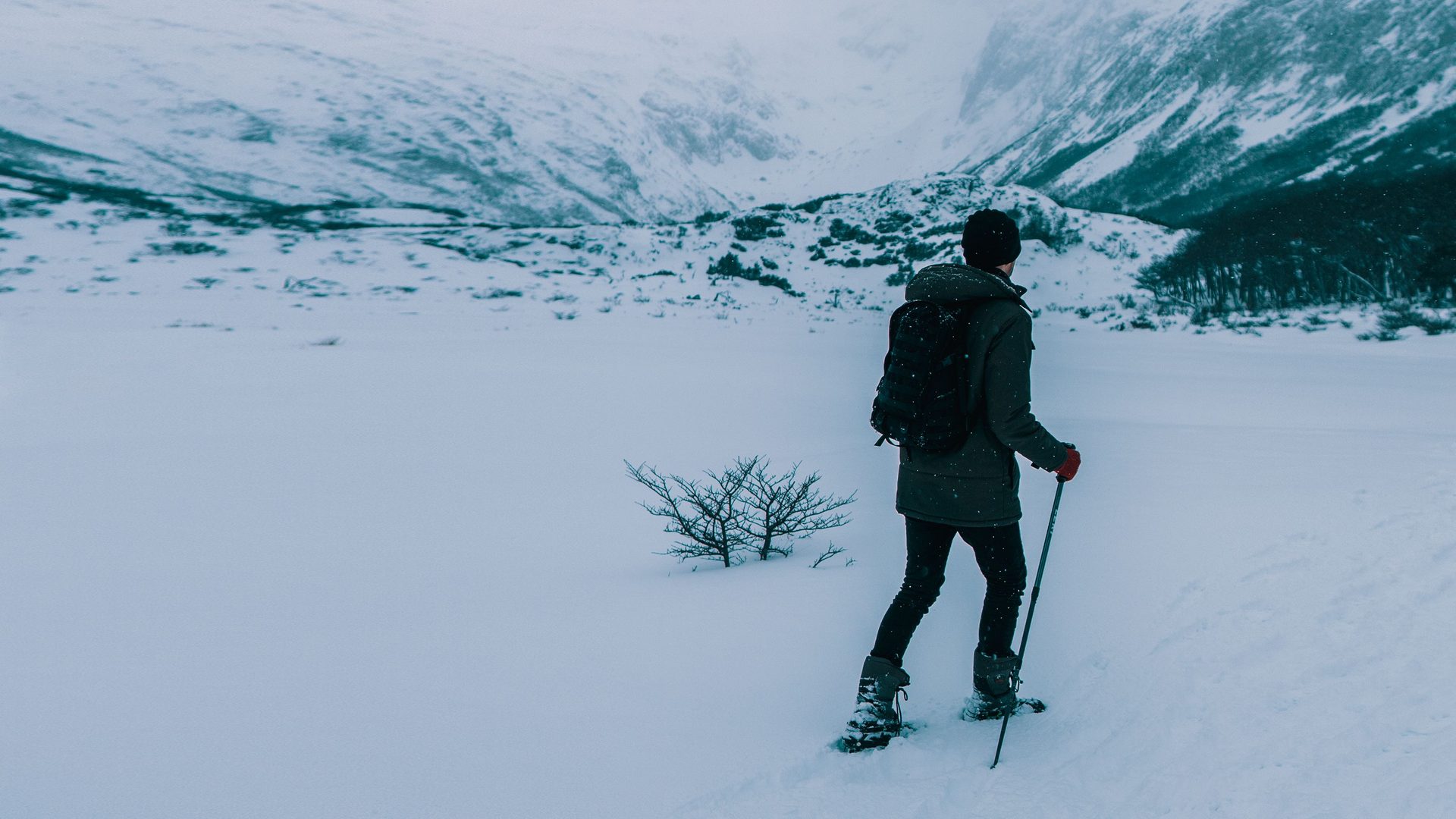 Snowshoer with trekking poles walking across a snowfield toward snowy mountains