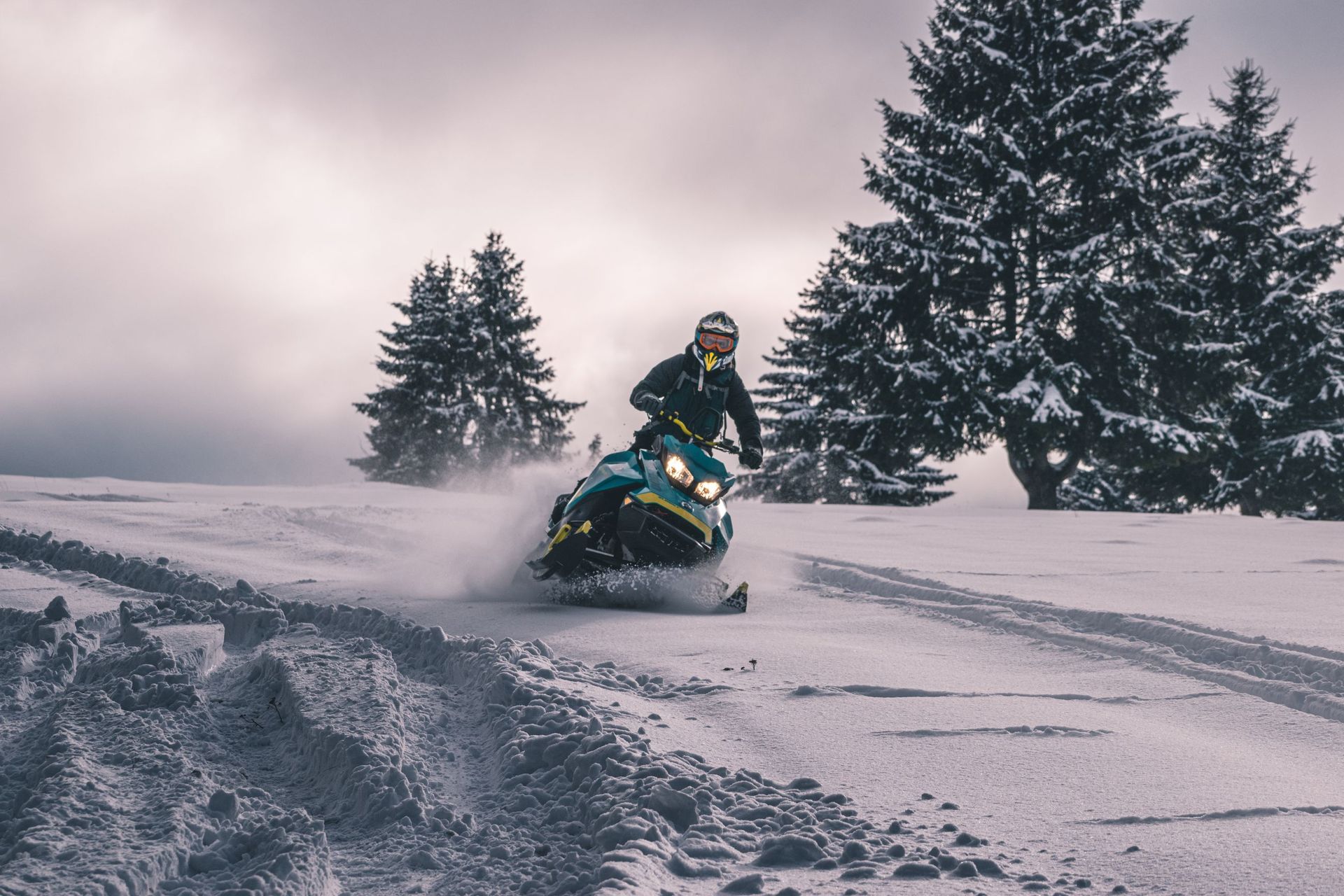 Snowmobile rider kicking up powder on a snowy hillside beside spruce trees