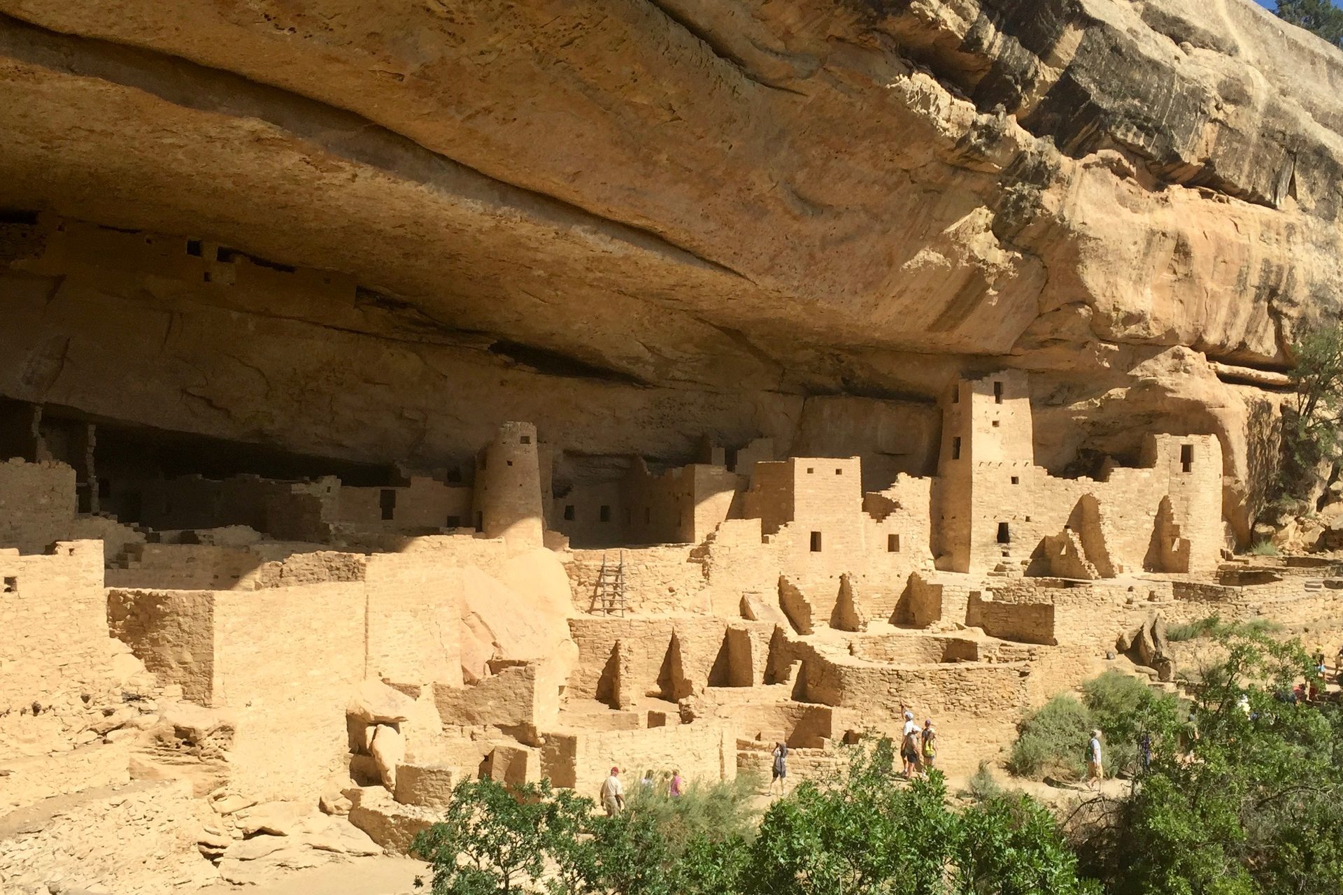 Cliff Palace, a sandstone cliff dwelling tucked under a rock overhang in Mesa Verde National Park