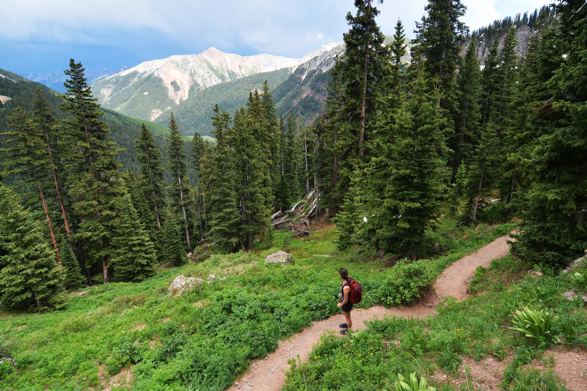 Hiker on a dirt trail through meadow and spruce forest below a mountain ridge in San Juan National Forest
